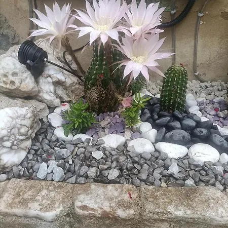 La Casa In Pietra Bed & Breakfast