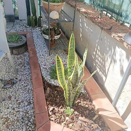 Bed & Breakfast La Casa In Pietra Santa Caterina Villarmosa