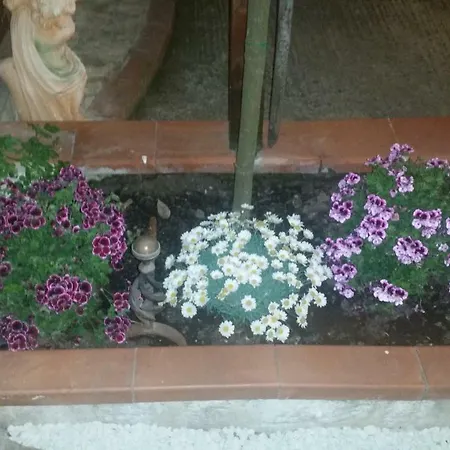 Bed & Breakfast La Casa In Pietra 3*